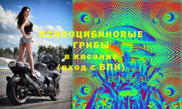 не бодяженный Алзамай