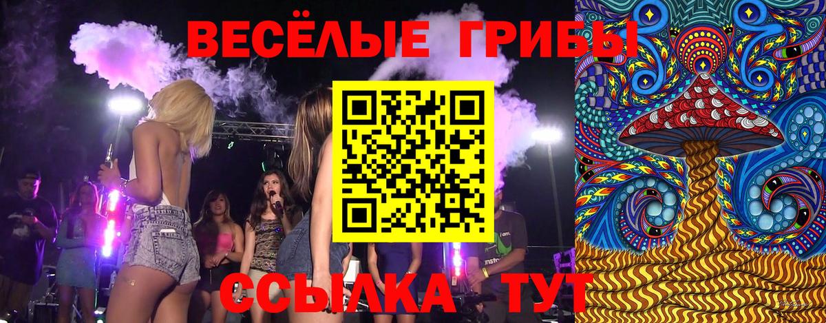 Галлюциногенные грибы Psilocybine cubensis  Вход с VPN  Нововоронеж 